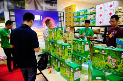 懷集 打造粵港澳大灣區優質“后菜園”，農產品產區如何借力破局？